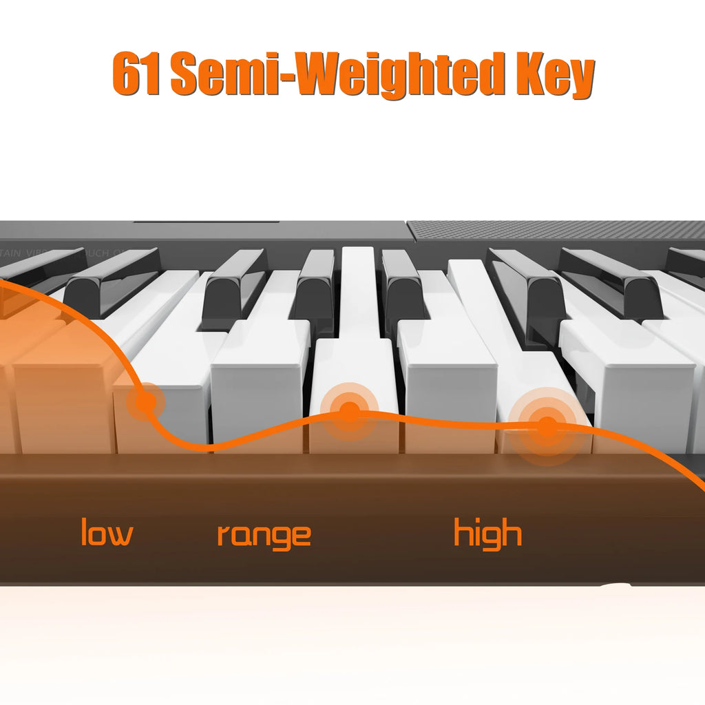 61 Key Portable Electric Keyboard Piano & more