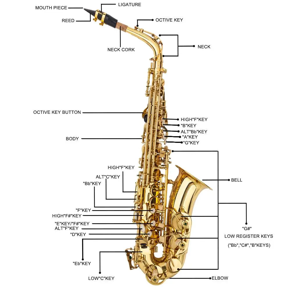 Elegant Alto E Saxophone with Lacquered Gold Finish