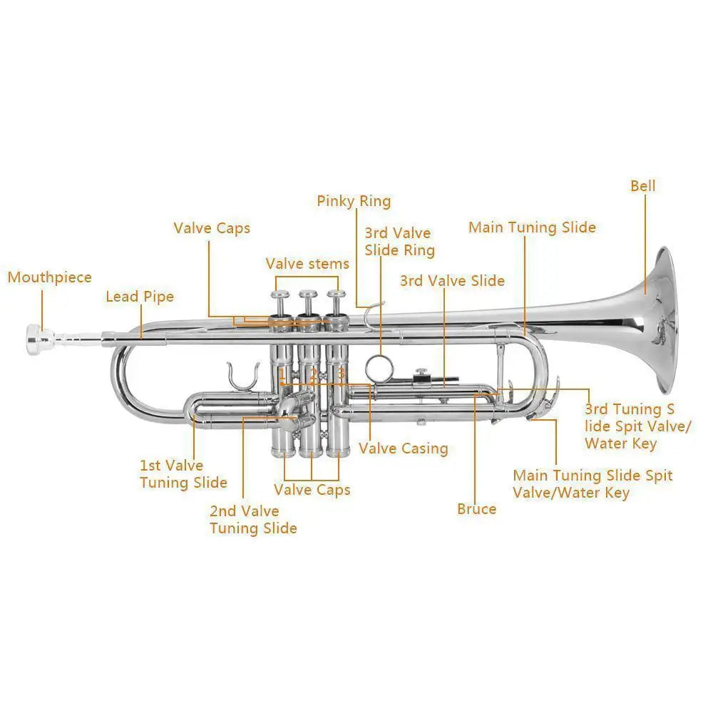 Brass Trumpet Bb with 7C Mouthpiece Case Gloves Cloth