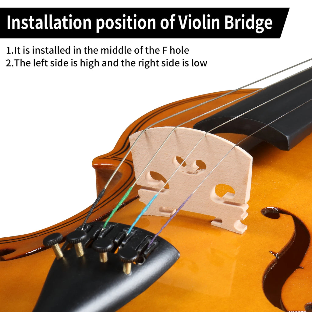 Violin Set Bow, Shoulder Rest, Rosin, Extra Strings
