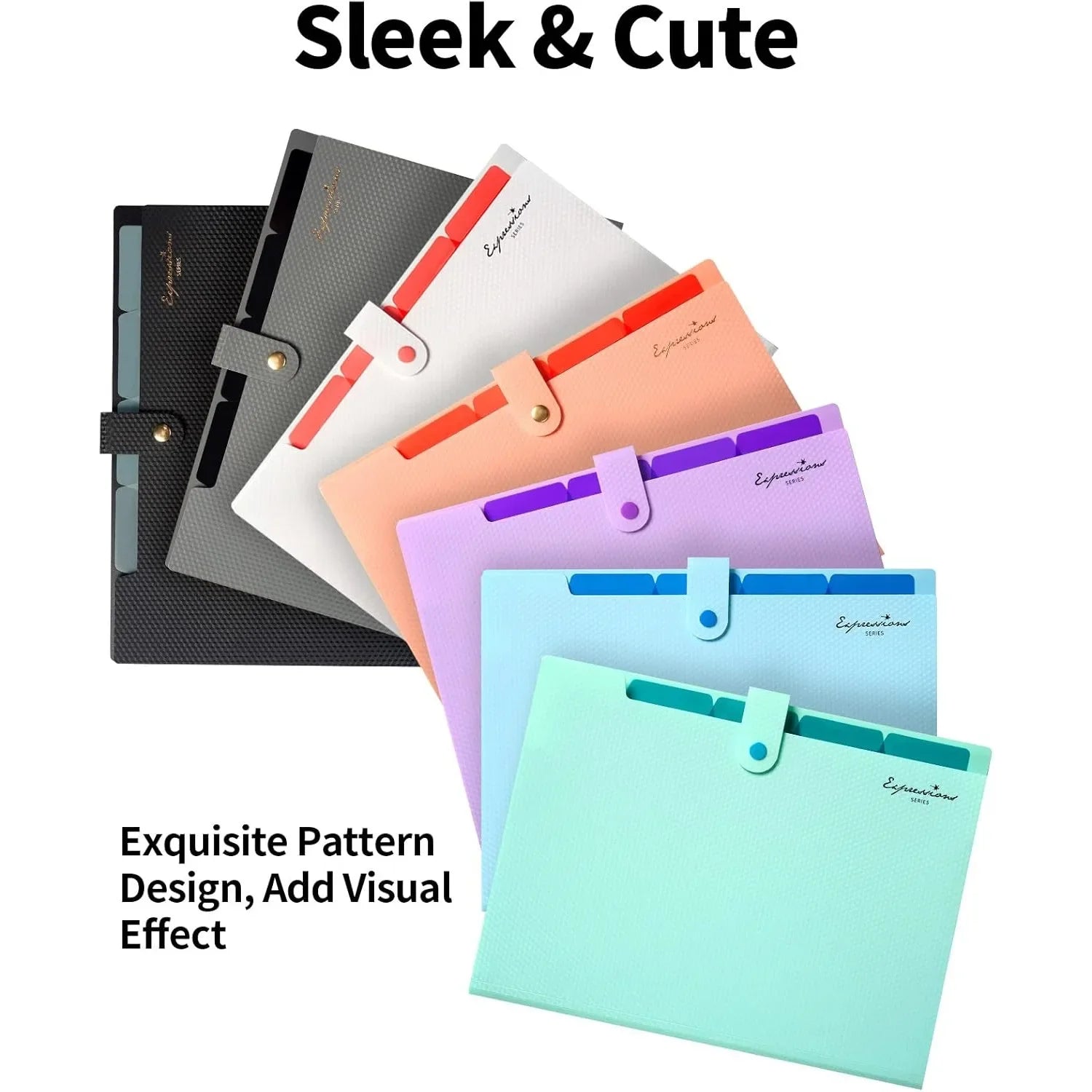 Expandable File Folder, Letter Size Organizer, 5 Pockets