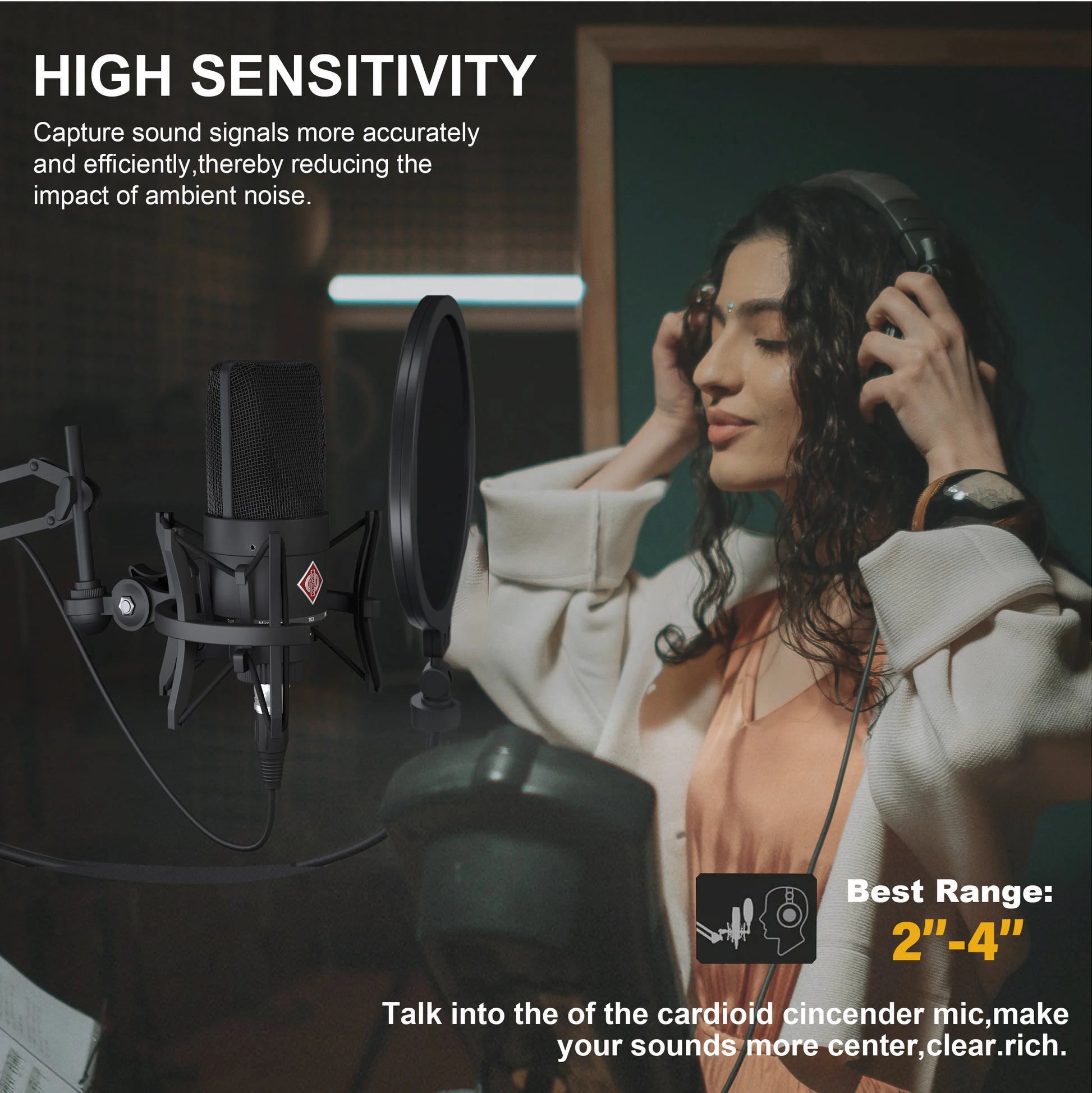 TLM 103 XLR Condenser Microphone Professional Home Studio