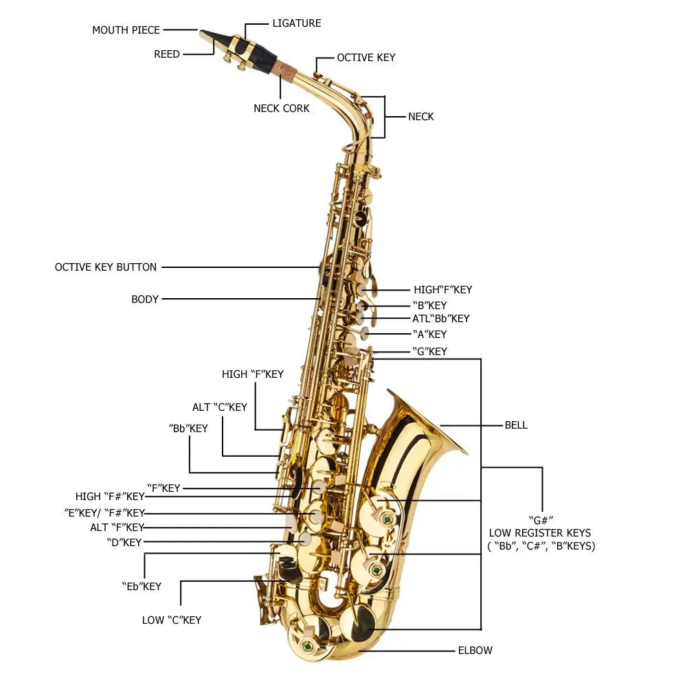 Alto E Drop Gold Saxophone