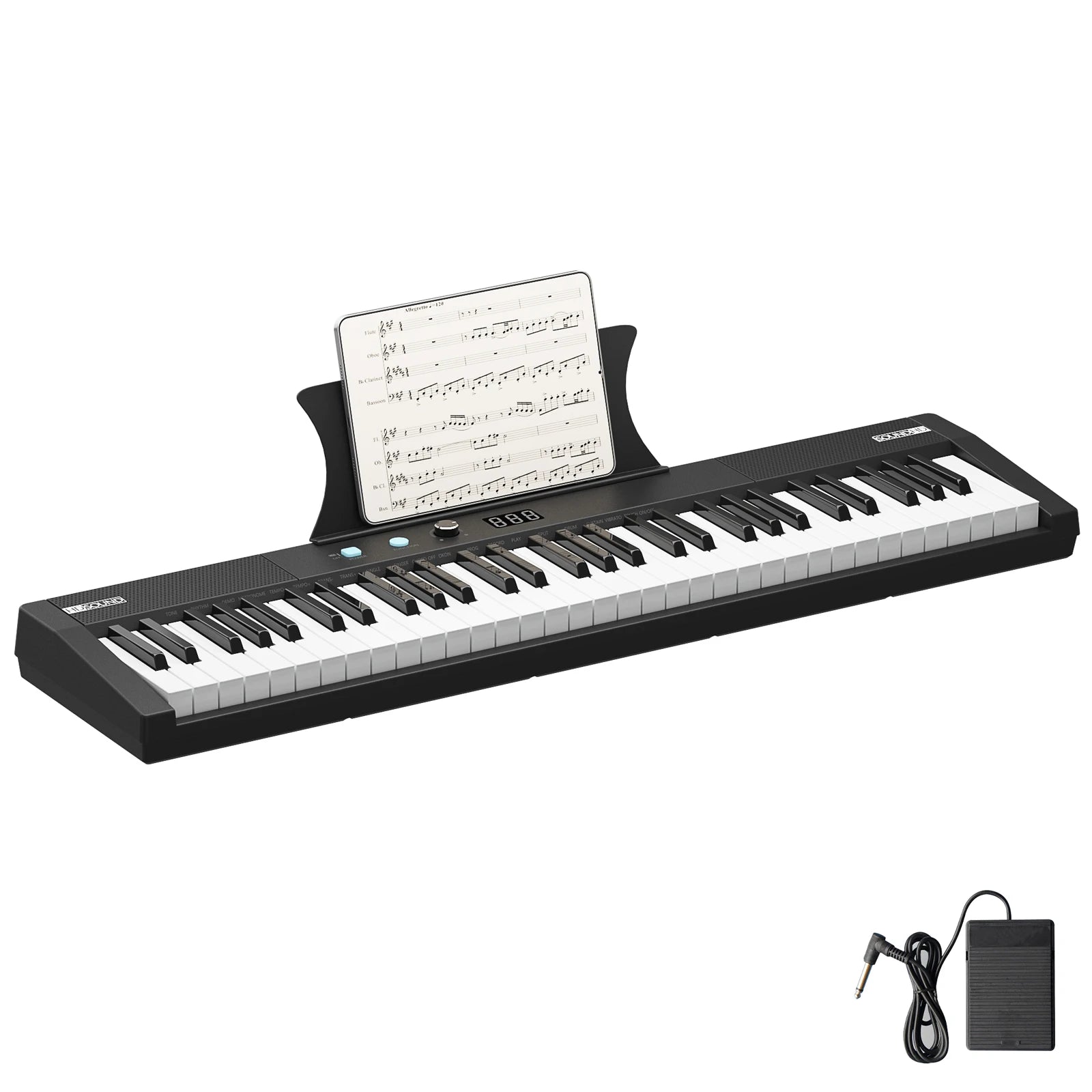 61 Key Portable Electric Keyboard Piano & more